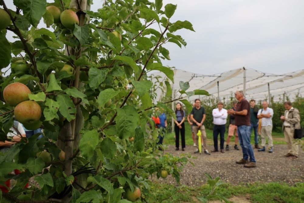 Erste Internationaler Natyra-Tag