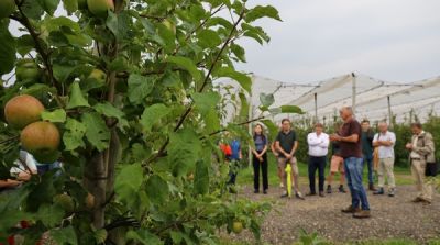 First international Natyra-day