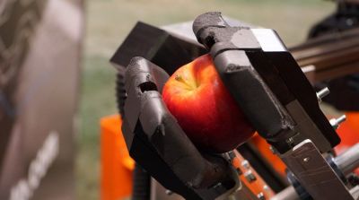 Slovenian apple picking robot