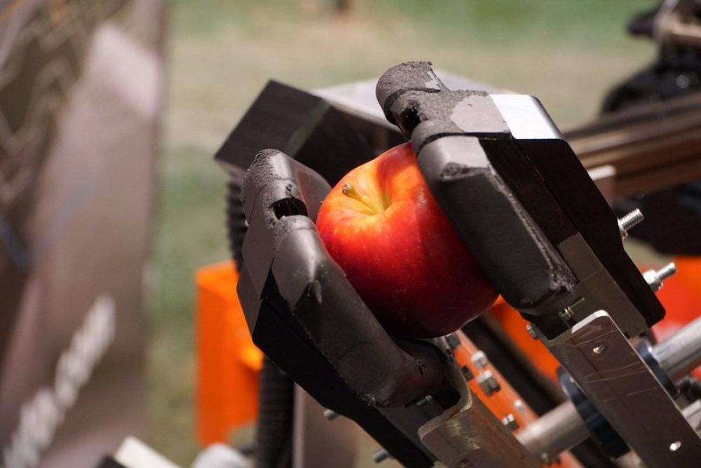Slovenian apple picking robot