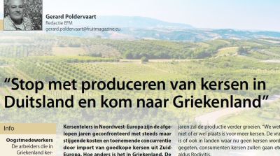 &ldquo;Stop met produceren van kersen in Duitsland&rdquo;