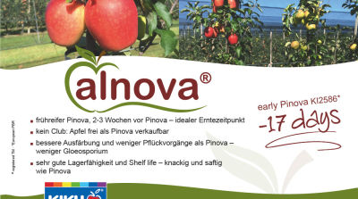Alnova - fr&uuml;hreifer Pinova