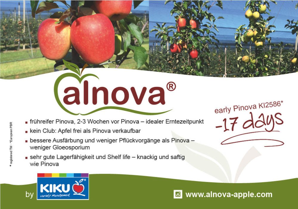 Alnova - fr&uuml;hreifer Pinova