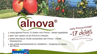 Alnova - de vroeg rijpende Pinova