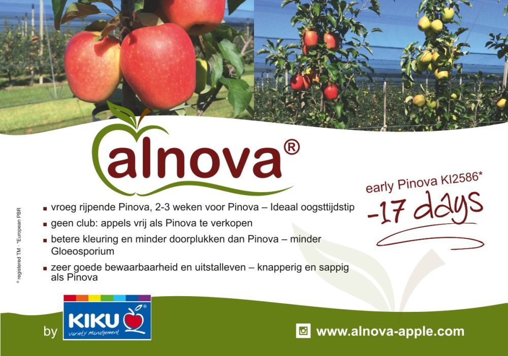 Alnova - de vroeg rijpende Pinova