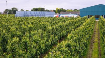 Handelsunternehmen kauft einen der gr&ouml;&szlig;ten Birnenerzeuger der Niederlande