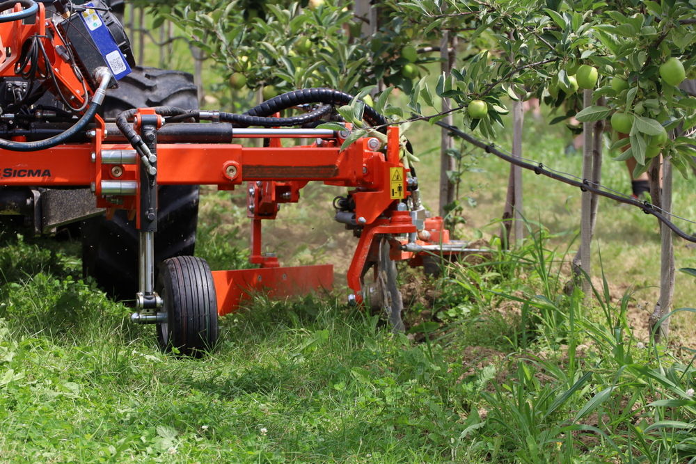 Mechanical weed control benefits soil life