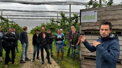 Vruchtzetting zoete kers bevorderen