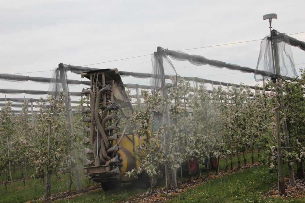 Mutual authorisation of plant protection products desired