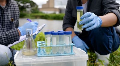 Glyphosat in der Umwelt stammt nicht nur aus Landwirtschaft