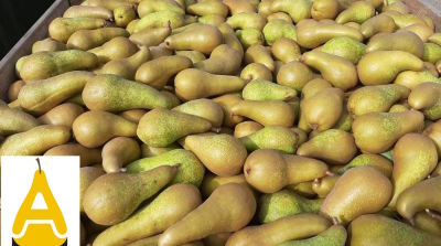 Uitnodiging info avond AbateNL