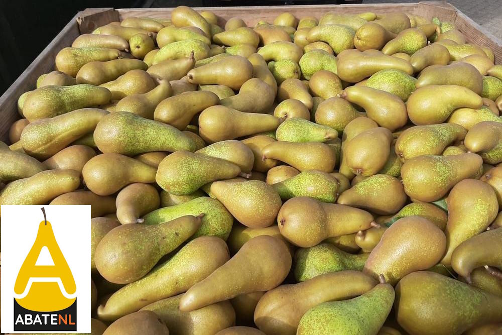 Uitnodiging info avond AbateNL