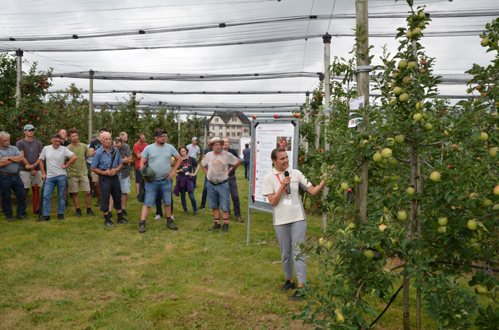 Attention for Wurtwinning and Iori during G&uuml;ttinger-Tagung