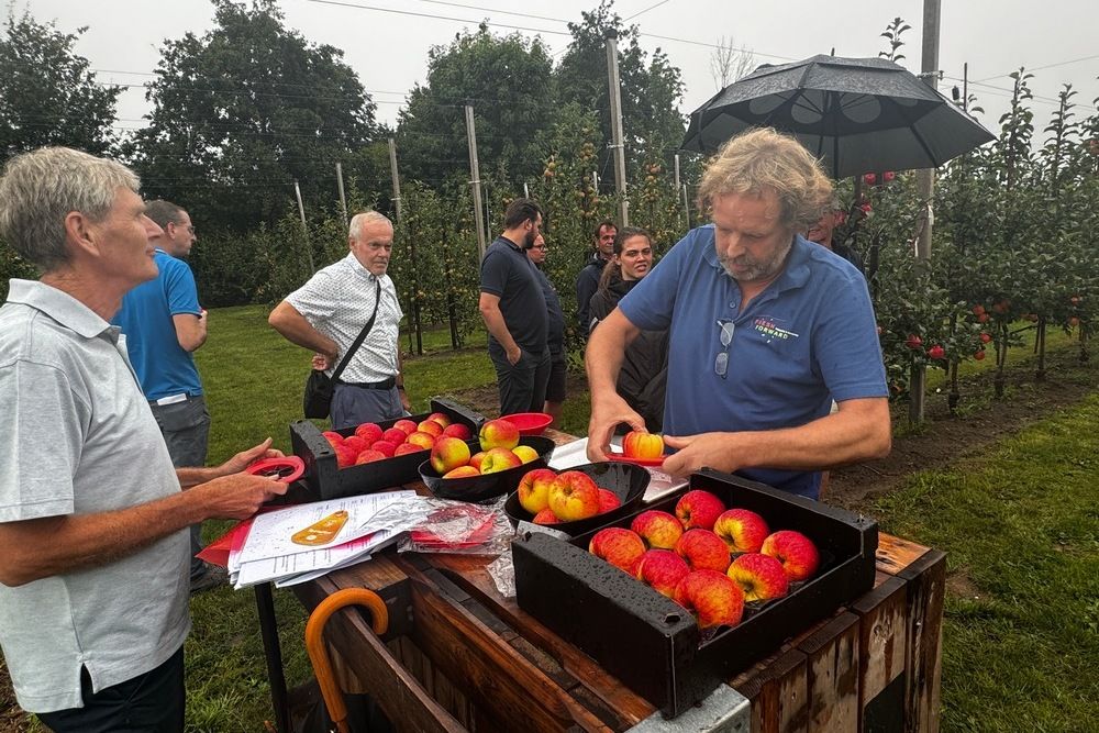 Fresh Forward introduceert Wursixo en Wuranda