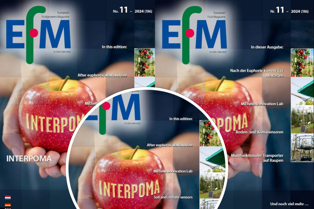 EFM2024-11 now available (download)