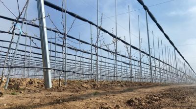 Ger&uuml;stsysteme von Trellex