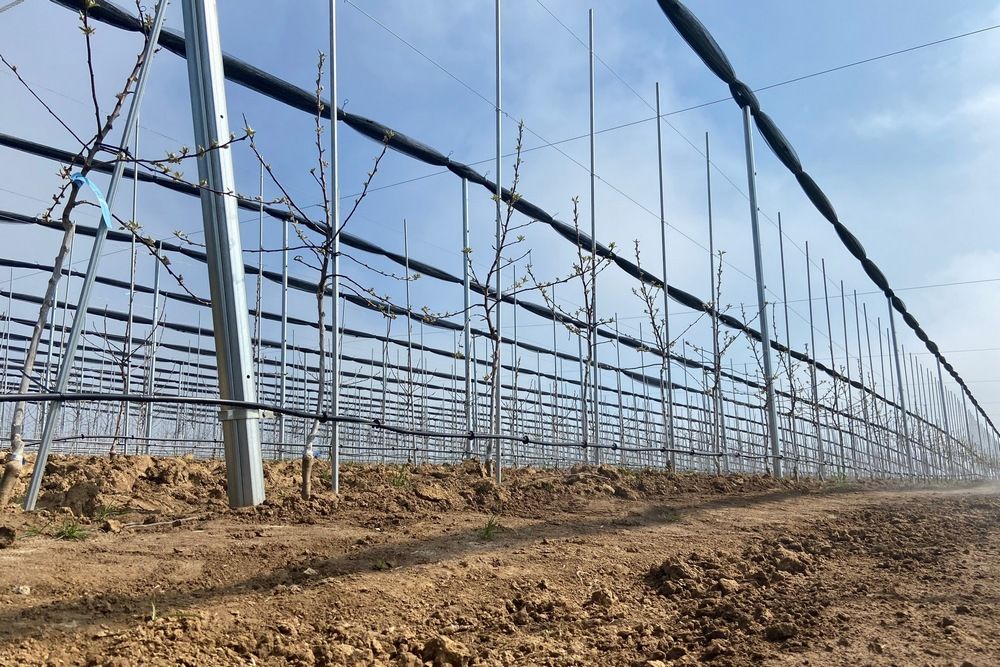 Ger&uuml;stsysteme von Trellex