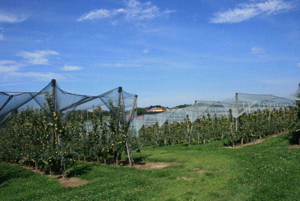 ResiYou, the AI-based digital tool for residue management.