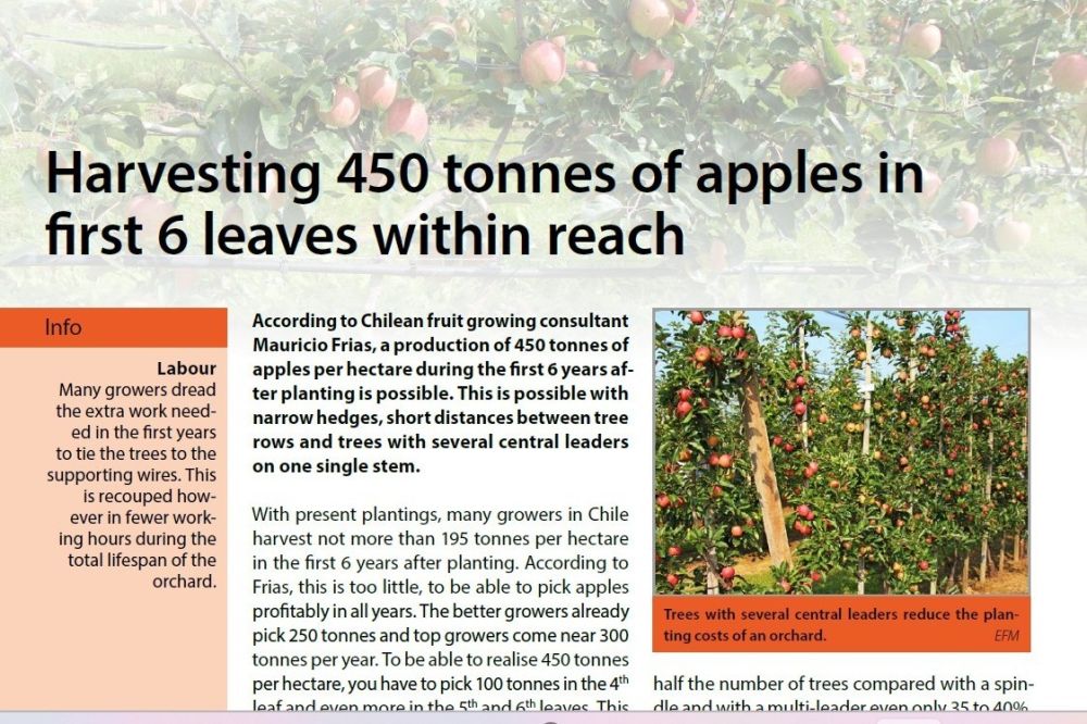 450 tonnes of apples in 6 years