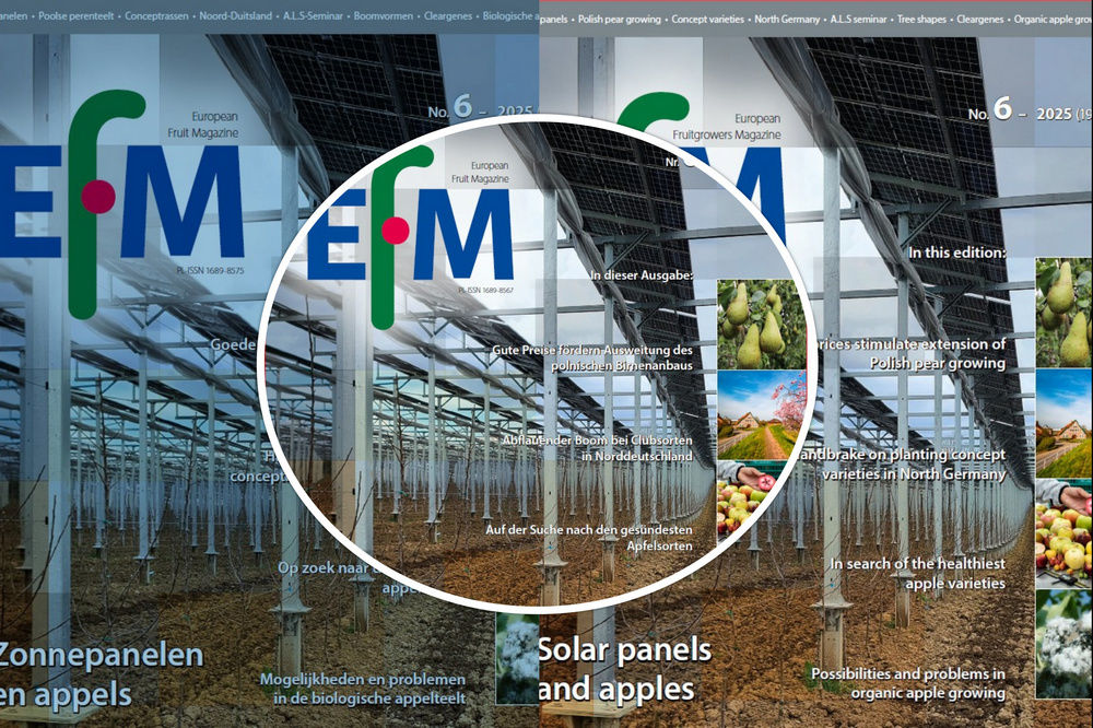 EFM2025-06 now available (download)