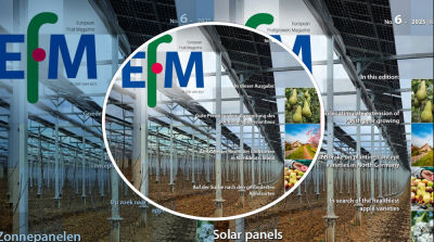 EFM2025-06 jetzt verf&uuml;gbar (Download)