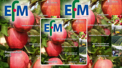 EFM