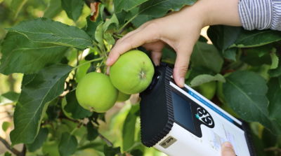 Vochtgehalte meten aan de vruchten