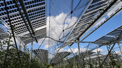 Onderzoek naar teelt onder zonnepanelen