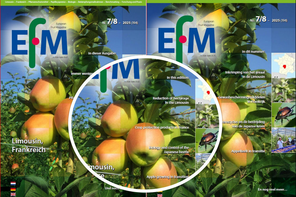EFM2025-07/08 now available (download)