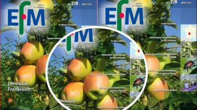 EFM2025-07/08 jetzt verf&uuml;gbar (Download)