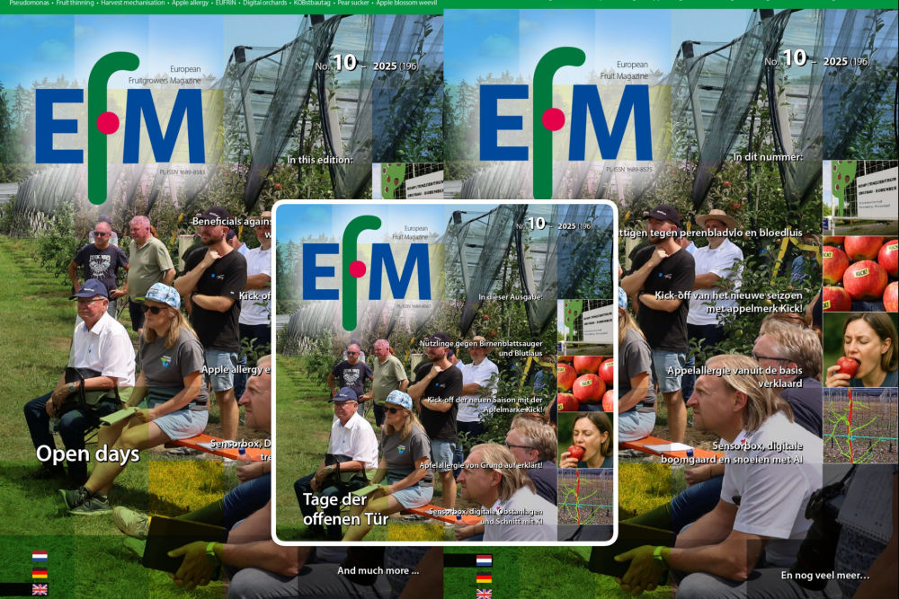 EFM2025-10 jetzt online verf&uuml;gbar