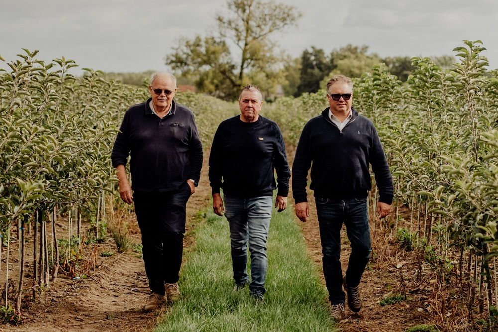 Rescue plan for Ren&eacute; Nicola&iuml; Tree Nursery approved