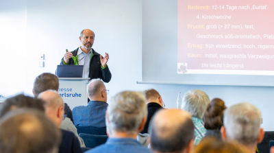 Viele gro&szlig;e Kirschen von schmalen B&auml;umen &ndash; Vor- und Nachteile von Anbausystemen im Vergleich