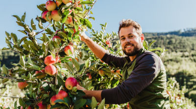 VIP: +10% increase of organic apples