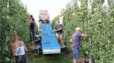Teelt- en oogstkosten stijgen tot ongekende hoogte