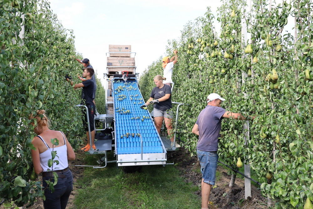 Cultivation and harvesting costs rise to unprecedented levels