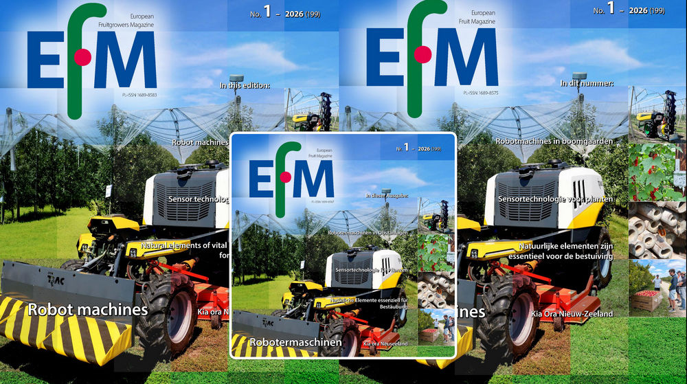 EFM2026-01 now available online