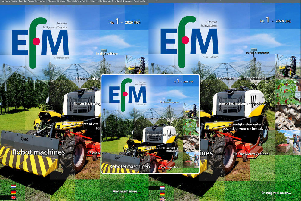 EFM2026-01 nu online beschikbaar