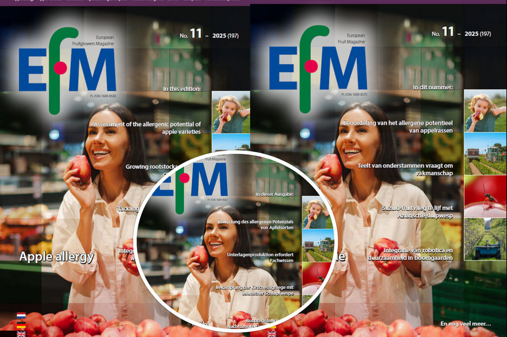 EFM2025-11 now available online