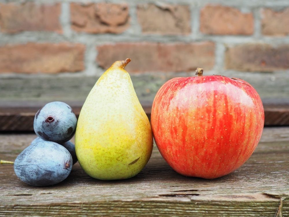 &Ouml;sterreich: Sehr gute Obsternte eingebracht