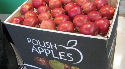 Interest in Polish apples on the rise