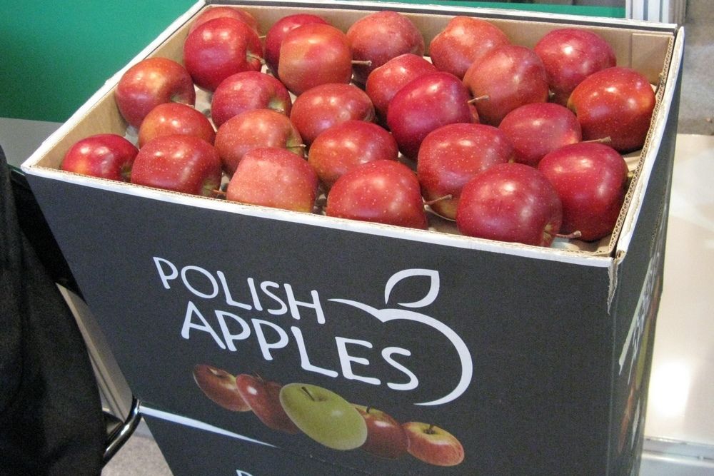 Interest in Polish apples on the rise
