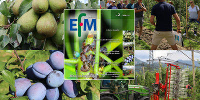 EFM2026-02 now available online