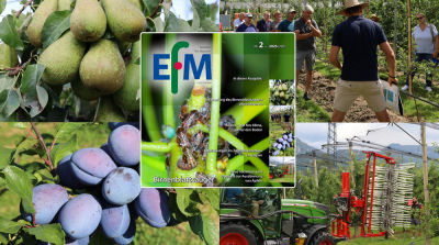 EFM2026-02 nu online beschikbaar