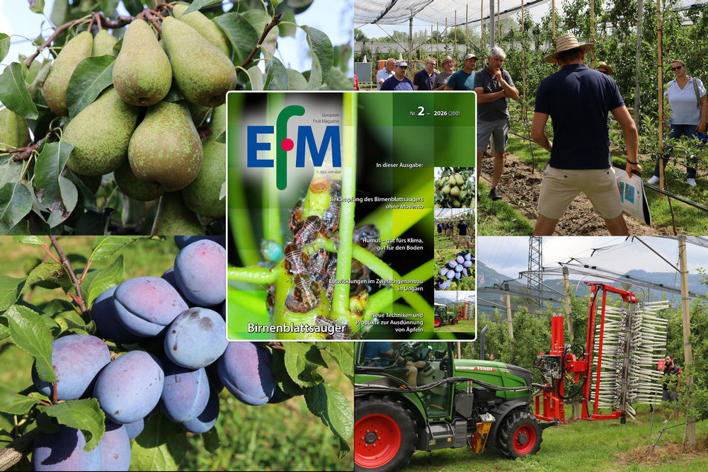 EFM2026-02 nu online beschikbaar