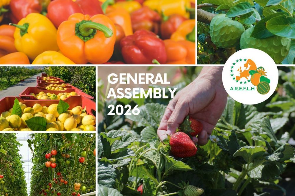 Einladung zur &ouml;ffentlichen AREFLH-Konferenz