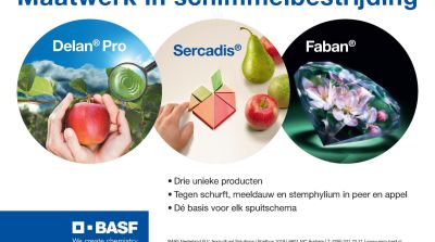 Maatwerk in schimmelbestrijding (advertentie)