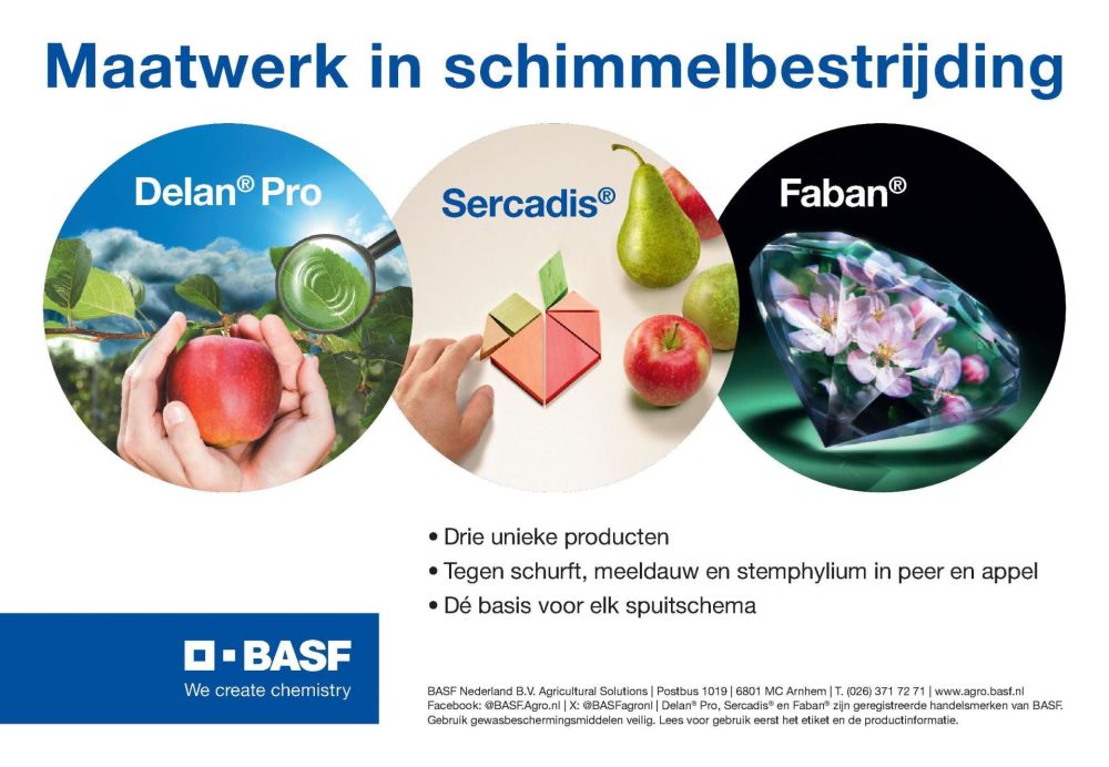 Maatwerk in schimmelbestrijding (advertentie)