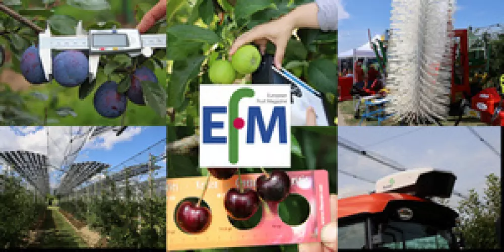 EFM Newsletter