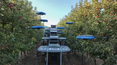 Additional funding for the development of flying harvest robots (video)